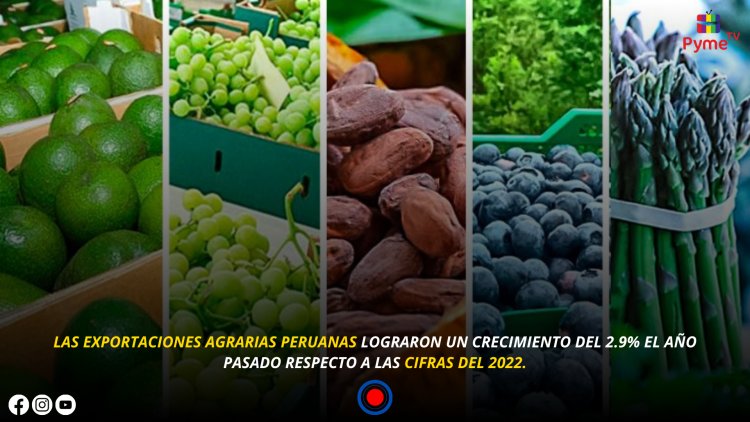 AGROEXPORTACIONES SUPERARÁN LOS 11,500 MILLONES DE DÓLARES EN EL 2024