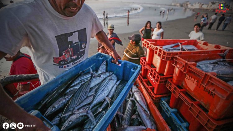 PRODUCE SUPERÓ LO ESTIMADO: SE CONSUMIÓ MÁS DE 8500 TONELADAS EN SEMANA SANTA