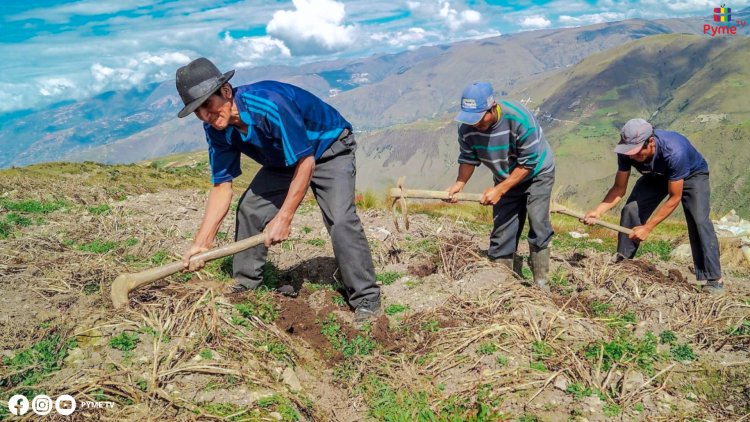 GOBIERNO ENTREGARÁ MÁS DE 17,000 TÍTULOS A LOS PRODUCTORES AGRARIOS