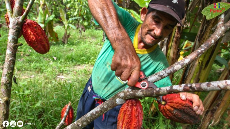 NUEVA LEY PROMUEVE INVESTIGACIÓN Y EXPORTACIÓN DE PEQUEÑOS PRODUCTORES AGRÍCOLAS