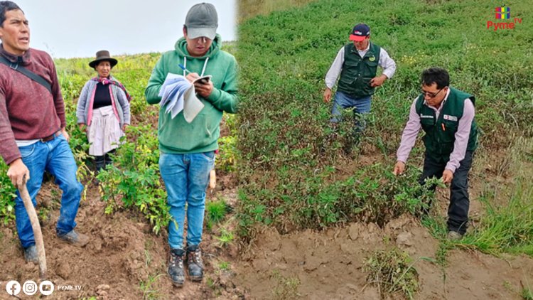 SEGURO AGRARIO CATASTRÓFICO: GOBIERNO DESTINA 1 MILLÓN 837 MIL 200 SOLES PARA SU COBERTURA