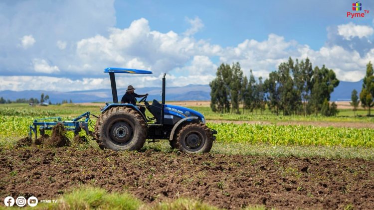 AGROEXPORTACIONES CONTINÚAN SU CRECIMIENTO SOSTENIDO EN 2024