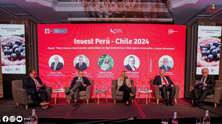 PROMPERÚ PROMUEVE INVERSIÓN EXTRANJERA EN CHILE PARA ENERGÍAS RENOVABLES Y AGROINDUSTRIA