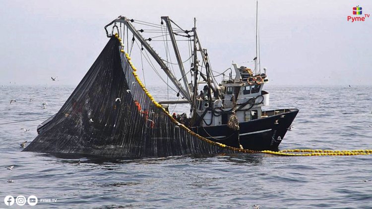 LA FAO FELICITA AL PERÚ POR MEJORAS EN LA GESTIÓN DE LA PESQUERÍA DE ANCHOVETA