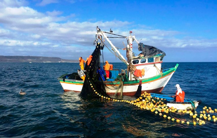 PRODUCE PUBLICA REGLAMENTO PARA LA PRESERVACIÓN DE LA PESCA TRADICIONAL, ANCESTRAL Y ARTESANAL EN PERÚ