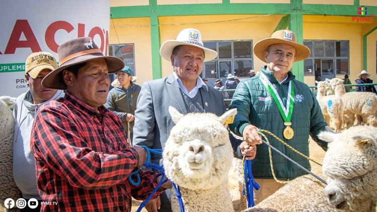 MIDAGRI INAUGURA FERIA NACIONAL FECASAM 2024, DESTACANDO LA IMPORTANCIA DE LOS CAMÉLIDOS SUDAMERICANOS