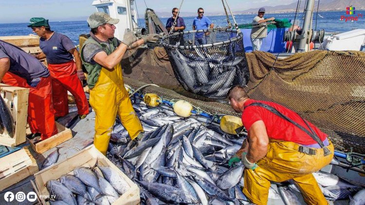 EL PBI PESQUERO CRECE UN 14.9% EN JULIO IMPULSADO POR EL AUMENTO EN DESEMBARQUES