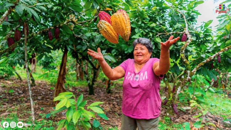 AGROBANCO IMPULSA EL AGRO FEMENINO: MÁS DE 134 MILLONES DE SOLES EN CRÉDITOS BENEFICIAN A 12,295 PRODUCTORAS RURALES