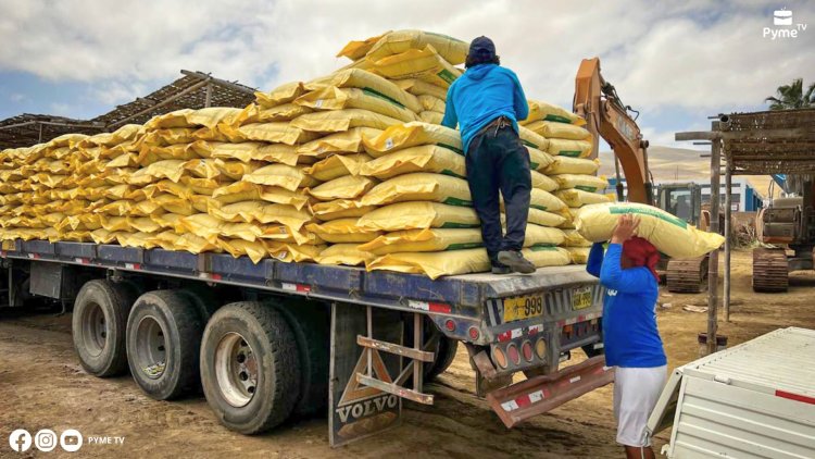 DISTRIBUYEN MÁS DE 500 TONELADAS DE GUANO DE LAS ISLAS A FAMILIAS CAMPESINAS EN AREQUIPA