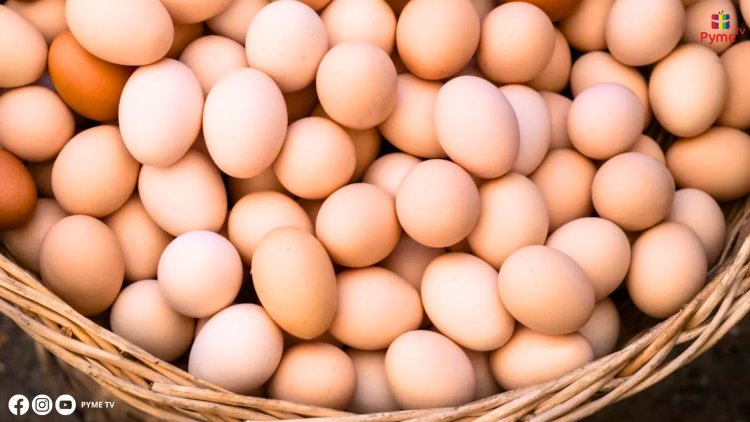 APA: PRODUCCIÓN DE HUEVOS EN PERÚ REGISTRA CRECIMIENTO ANUAL DE 3.8% DURANTE LA ÚLTIMA DÉCADA