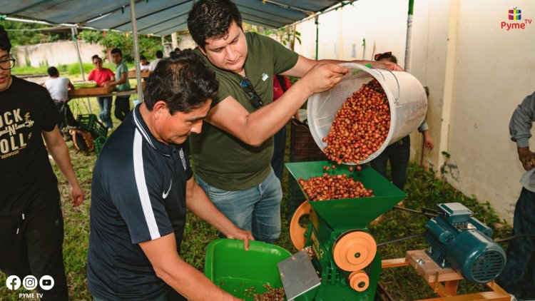MIDAGRI IMPULSA LA CALIDAD DEL CAFÉ CON SEGUNDA RUTA DE APRENDIZAJE EN JUNÍN
