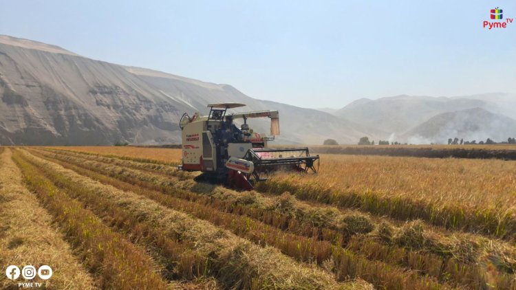 PAÍSES ANDINOS IMPLEMENTARÁN OBSERVATORIO PARA FORTALECER POLÍTICAS AGROALIMENTARIAS